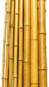 BP Series, Bamboo Poles